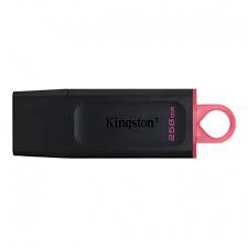 MEMORIA USB KINGSTON 256GB 3.2 GEN 1 EXODIA BLACK/PINK DTX/256GB