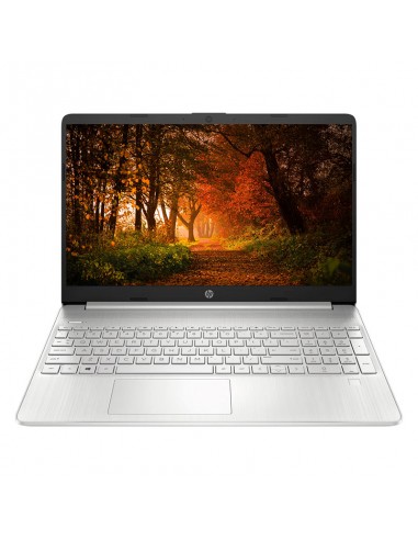 LAPTOP HP 15-DY2059LA 15.6" I3-1115G4 8GB 256GB SSD WINDOWS 10 SILVER-SPANISH