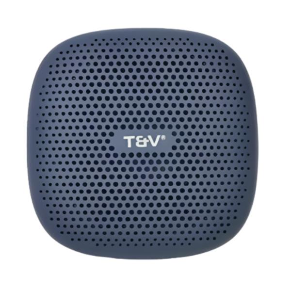 PARLANTE THONET & VANDER DUETT BLUETOOTH HK096-03605 AZUL