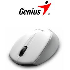 MOUSE GENIUS RS2 NX-7009 WHITE GREY 31030030402