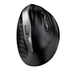 MOUSE GENIUS RS2 ERGO 8250S SILVER GREY 31030031401