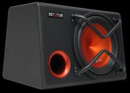 SUBWOOFER AMPLIFICADO STW100